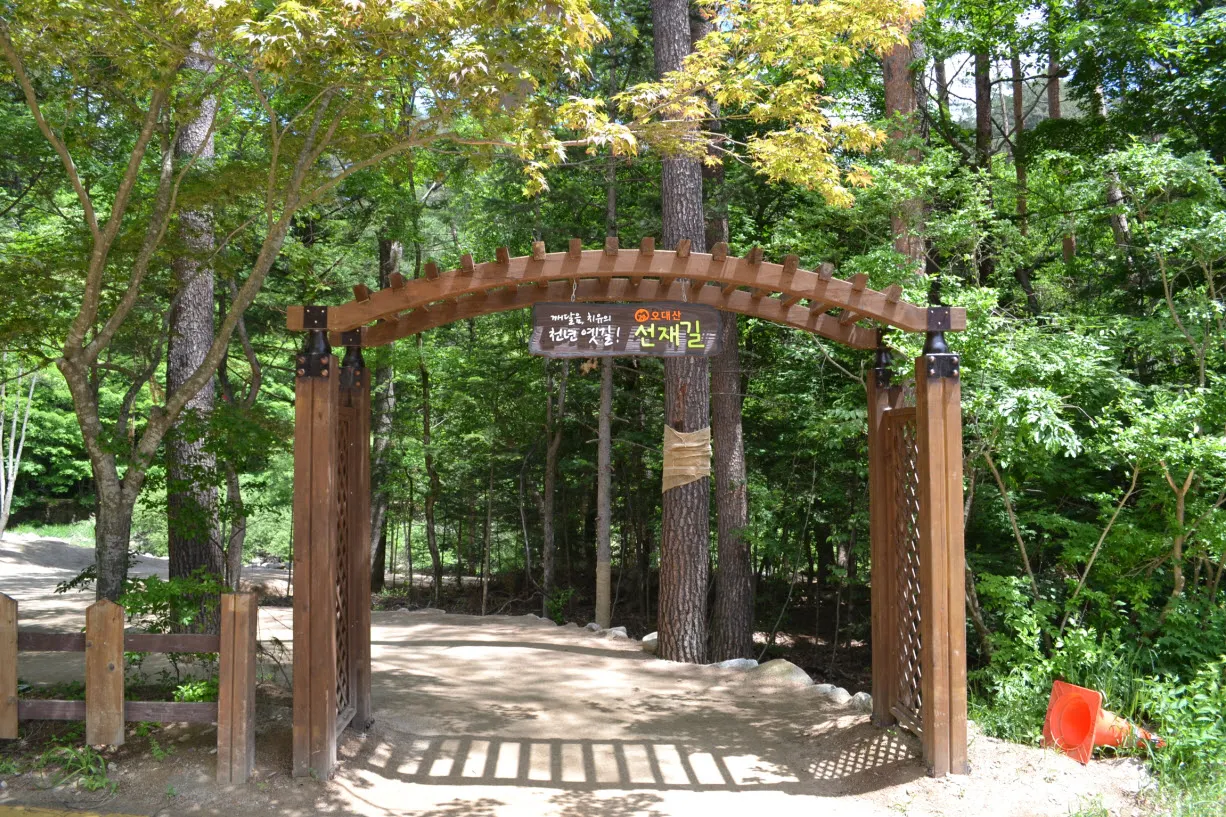 [걷기좋은길] 오대산 선재길 (월정사에서 상원사 가는 길)