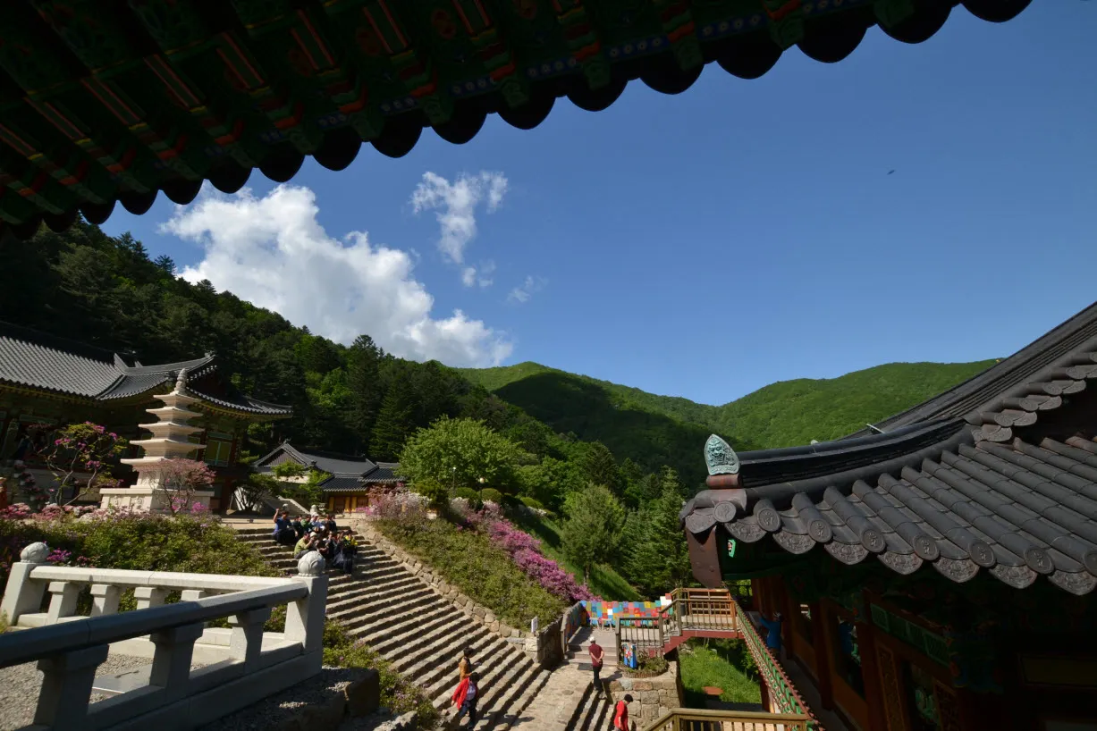 [걷기좋은길] 오대산 선재길 (월정사에서 상원사 가는 길)