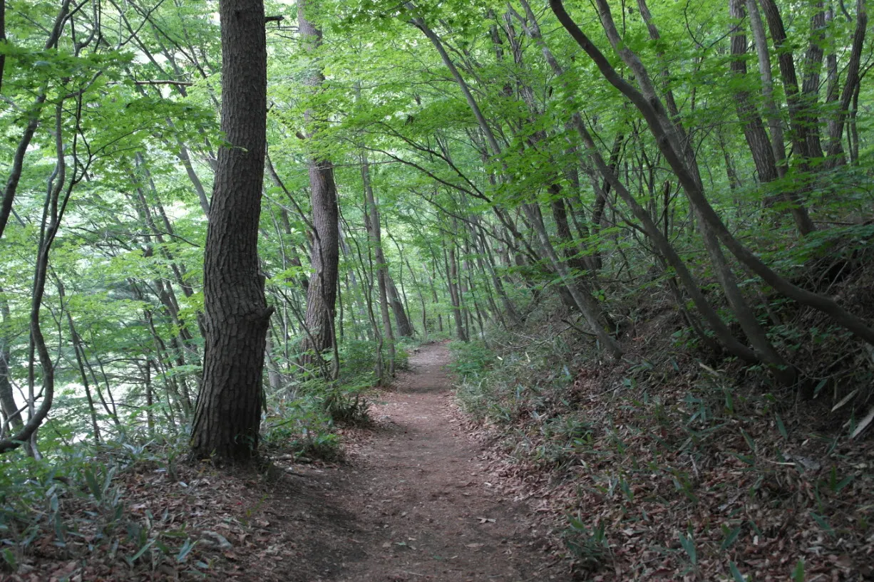 [걷기좋은길] 오대산 선재길 (월정사에서 상원사 가는 길)