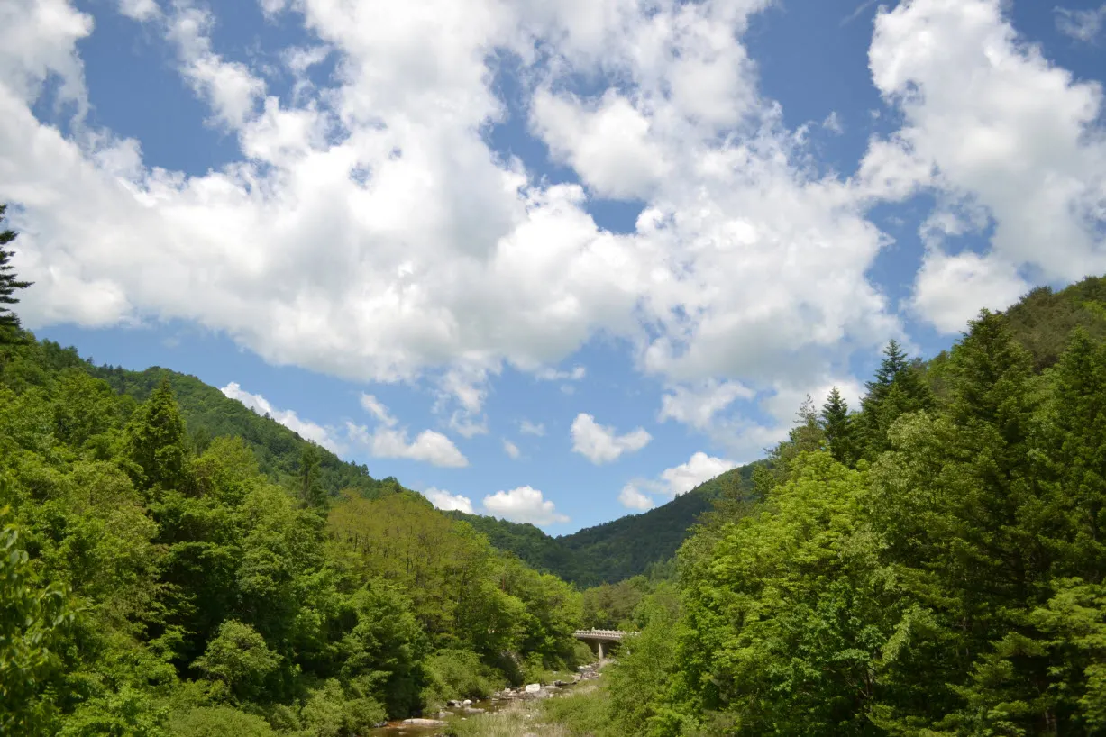 [걷기좋은길] 오대산 선재길 (월정사에서 상원사 가는 길)