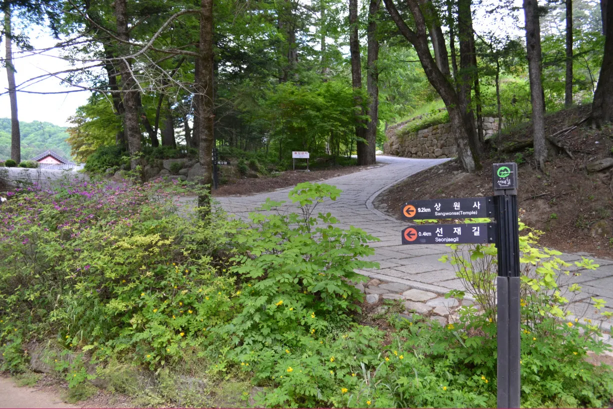 [걷기좋은길] 오대산 선재길 (월정사에서 상원사 가는 길)