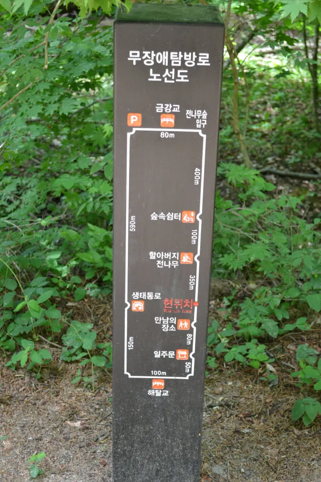 [걷기좋은길] 오대산 선재길 (월정사에서 상원사 가는 길)