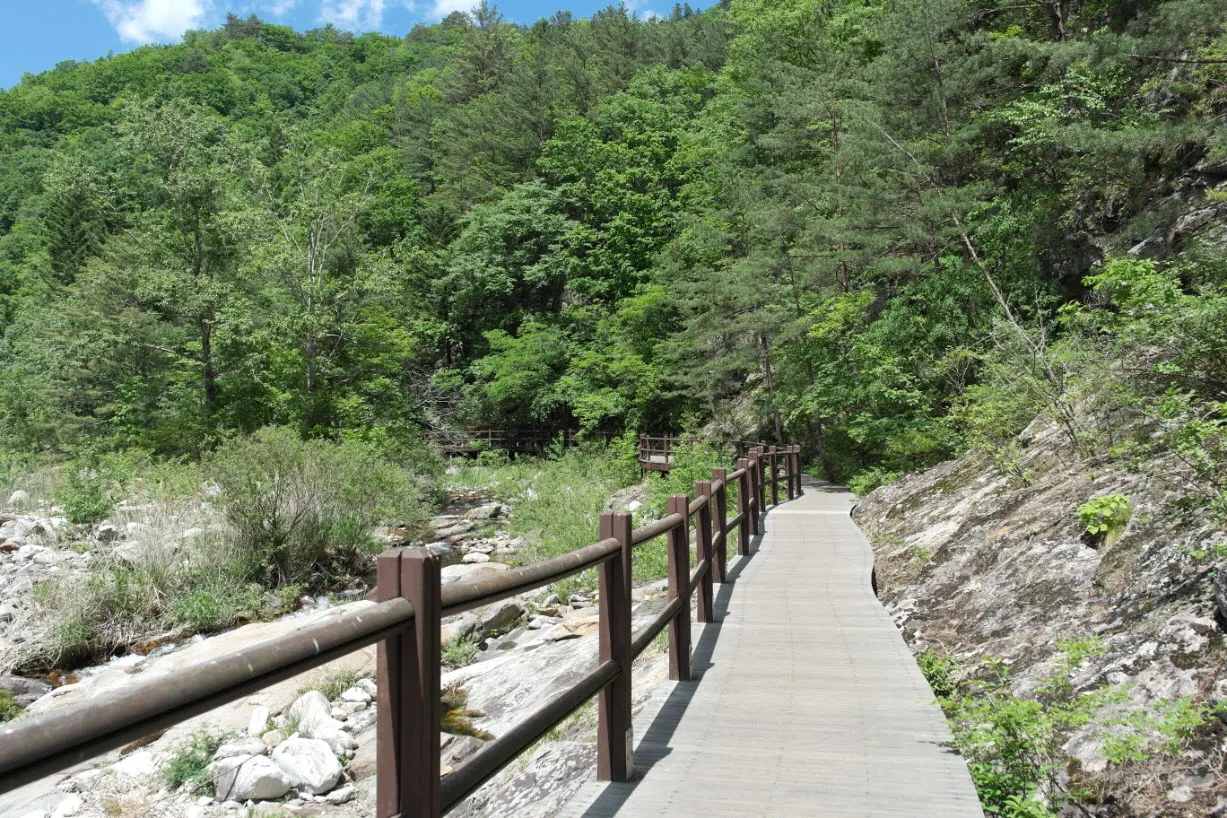[걷기좋은길] 오대산 선재길 (월정사에서 상원사 가는 길)