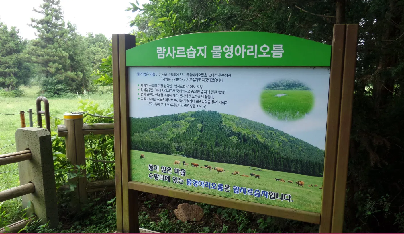 [제주오름여행] 작고 예쁜 백약이오름과 람사르 습지를 품고 있는 물영아리 오름