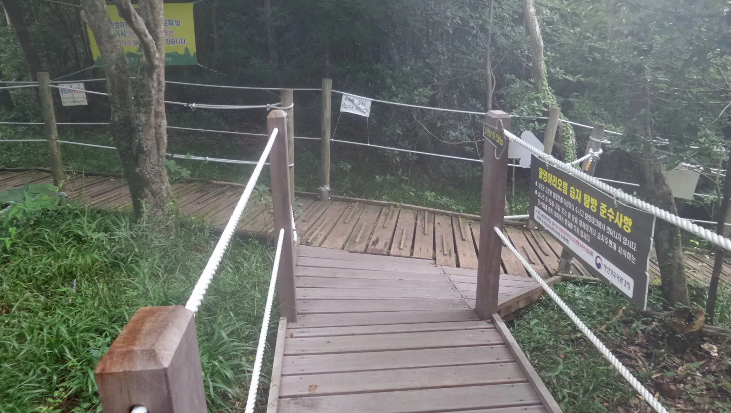 [제주오름여행] 작고 예쁜 백약이오름과 람사르 습지를 품고 있는 물영아리 오름