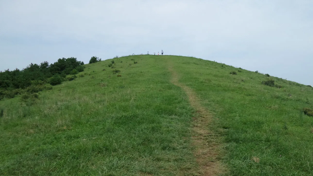 [제주오름여행] 작고 예쁜 백약이오름과 람사르 습지를 품고 있는 물영아리 오름