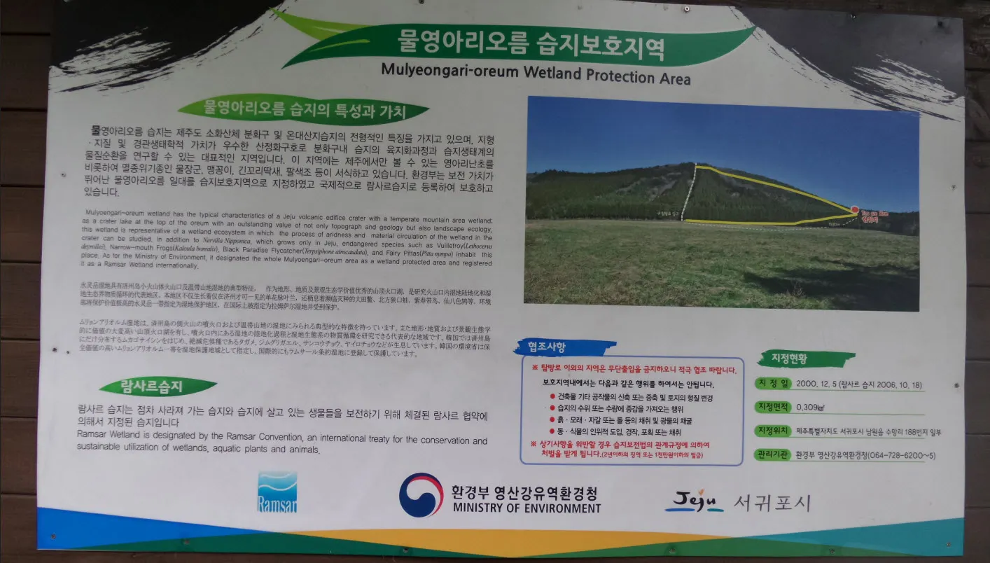 [제주오름여행] 작고 예쁜 백약이오름과 람사르 습지를 품고 있는 물영아리 오름