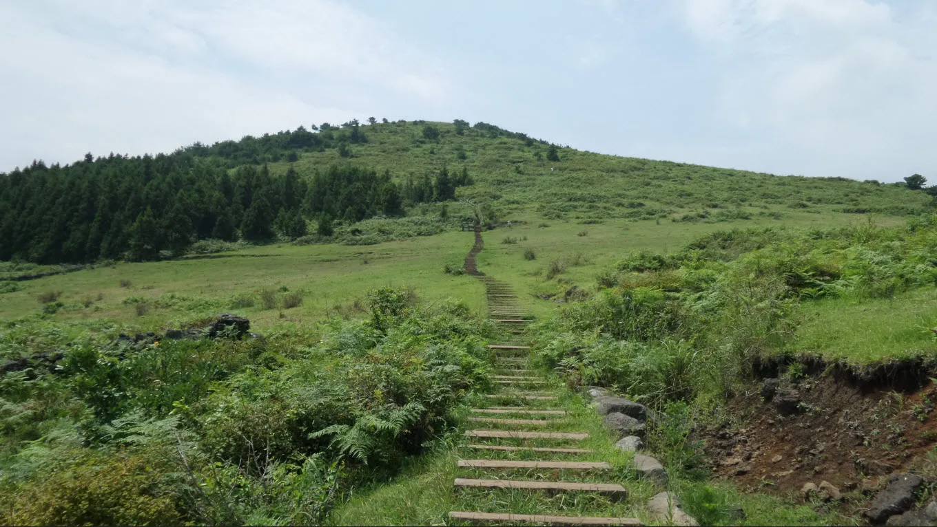 [제주오름여행] 작고 예쁜 백약이오름과 람사르 습지를 품고 있는 물영아리 오름