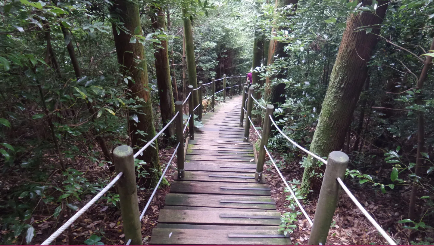[제주오름여행] 작고 예쁜 백약이오름과 람사르 습지를 품고 있는 물영아리 오름