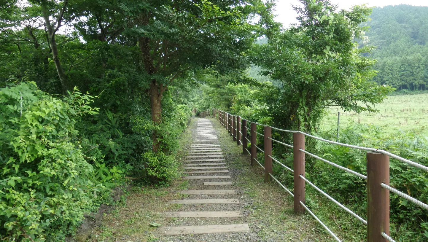 [제주오름여행] 작고 예쁜 백약이오름과 람사르 습지를 품고 있는 물영아리 오름