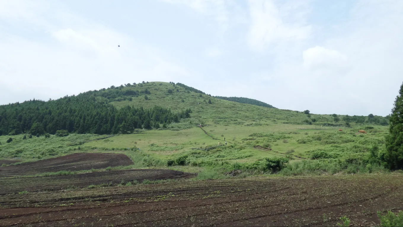 [제주오름여행] 작고 예쁜 백약이오름과 람사르 습지를 품고 있는 물영아리 오름