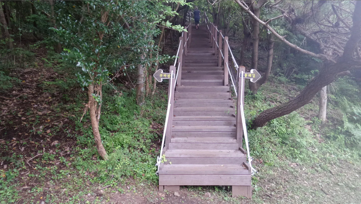 [제주오름여행] 작고 예쁜 백약이오름과 람사르 습지를 품고 있는 물영아리 오름