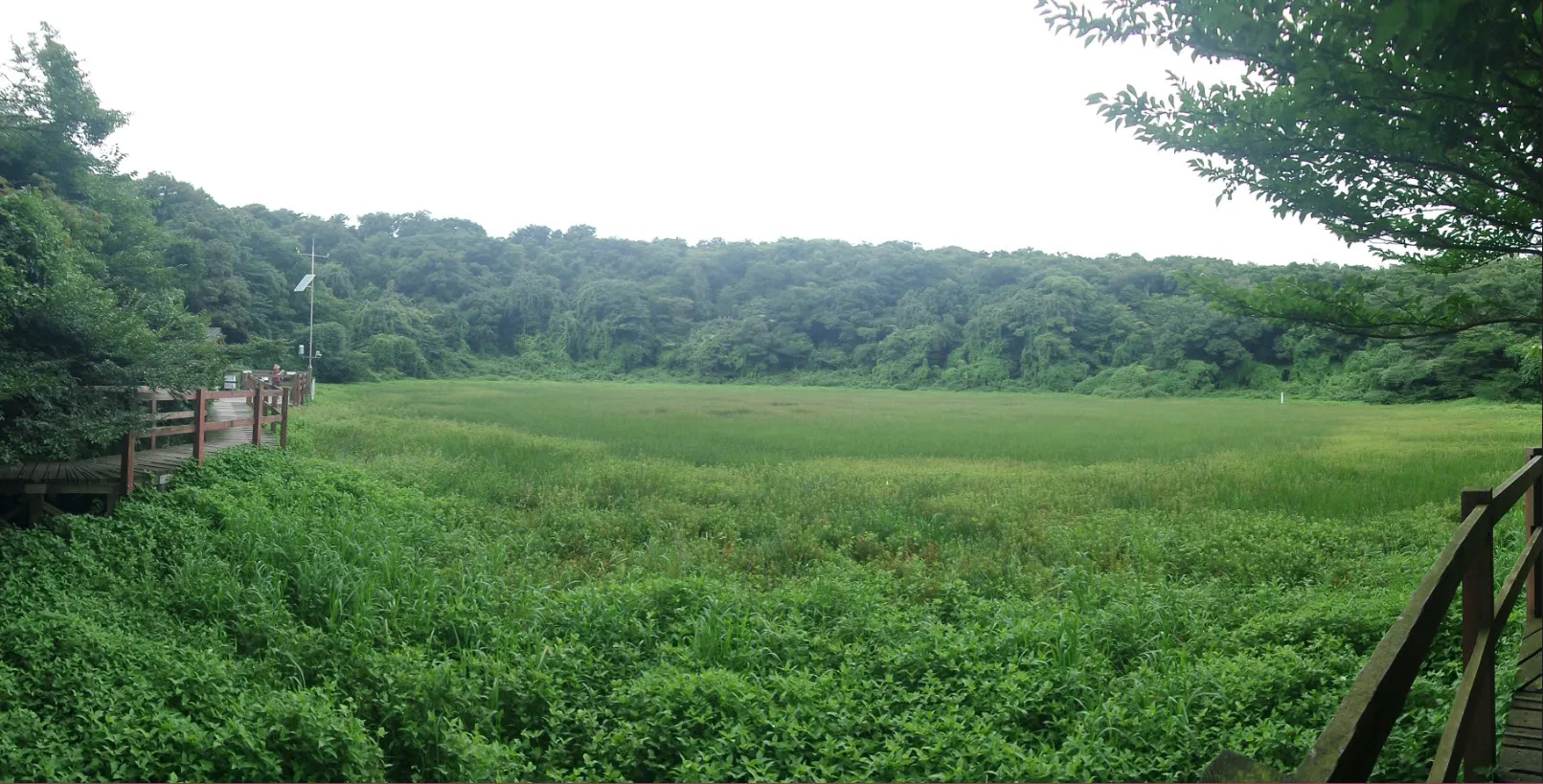 [제주오름여행] 작고 예쁜 백약이오름과 람사르 습지를 품고 있는 물영아리 오름