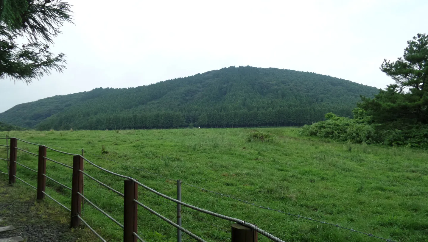 [제주오름여행] 작고 예쁜 백약이오름과 람사르 습지를 품고 있는 물영아리 오름