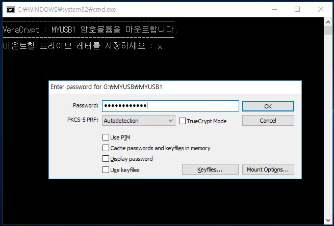 베라크립트의 암호호 볼륨을 마운트하는 배치파일 실행