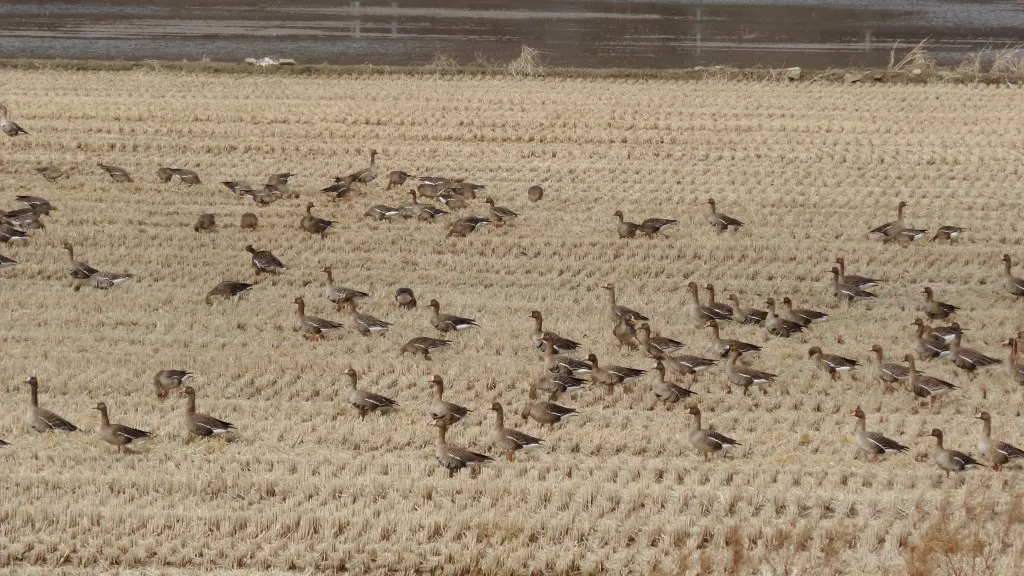 [걷기좋은길] 석모도 강화나들길 11코스와 석모도 마을버스 시간표