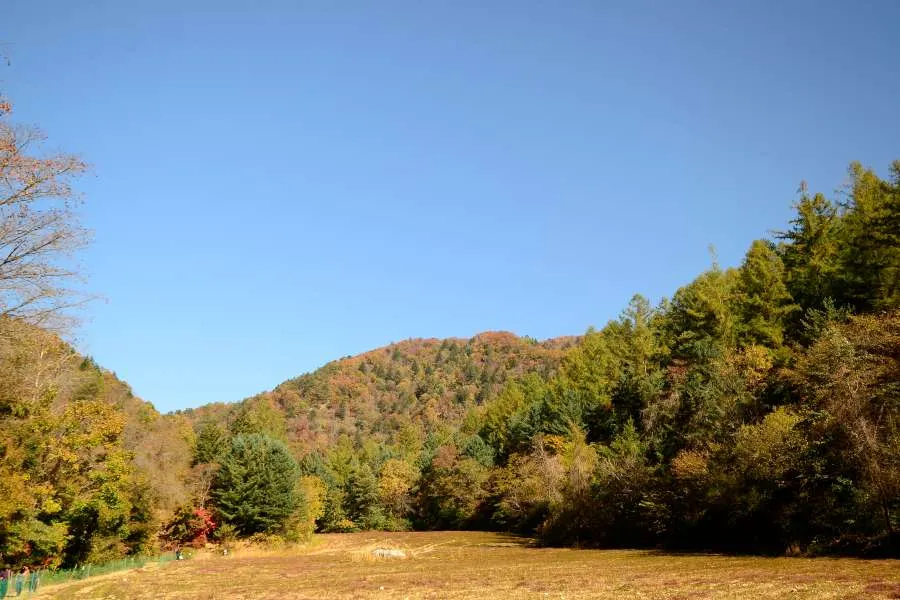 [걷기좋은길]가을에 다시 찾은 오대산 선재길