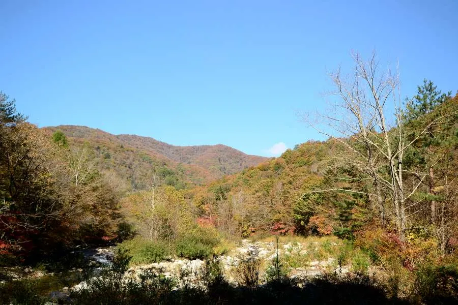 [걷기좋은길]가을에 다시 찾은 오대산 선재길