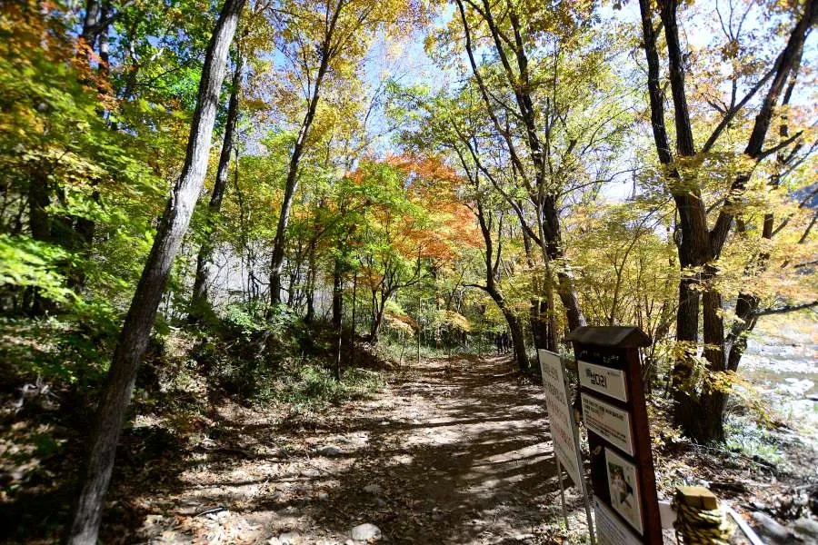 [걷기좋은길]가을에 다시 찾은 오대산 선재길