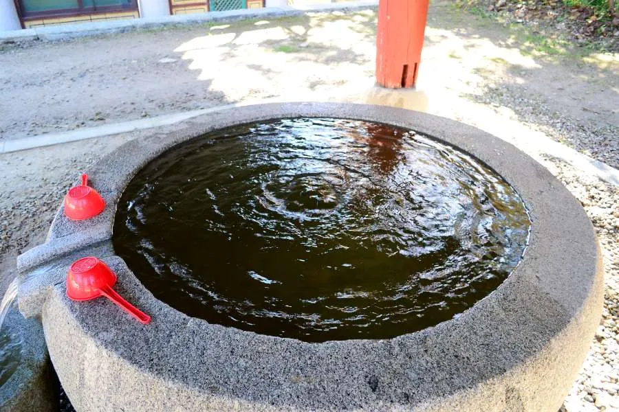 [걷기좋은길]가을에 다시 찾은 오대산 선재길