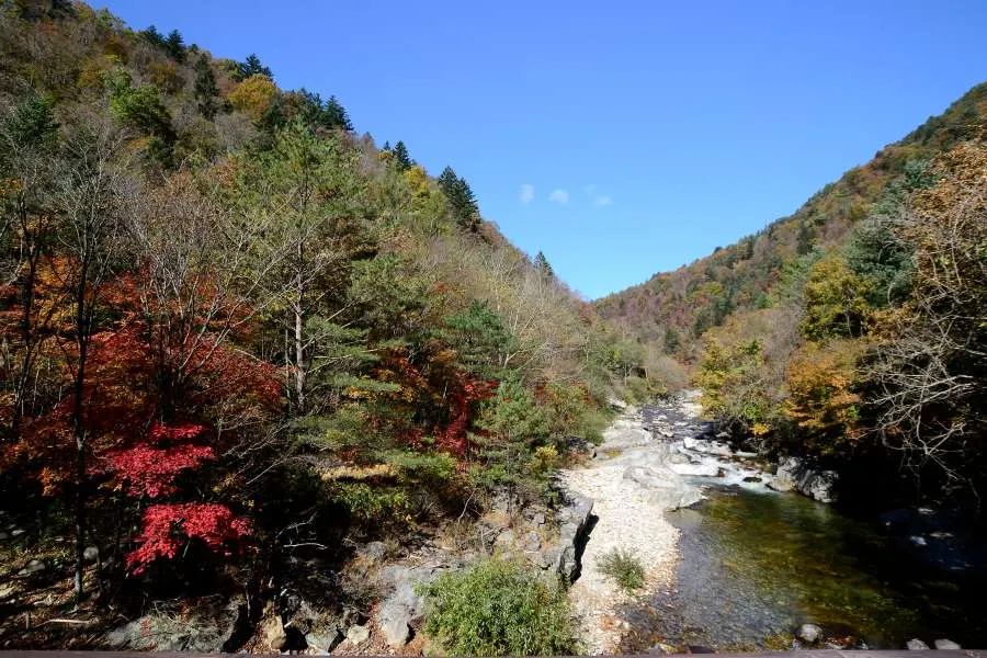 [걷기좋은길]가을에 다시 찾은 오대산 선재길