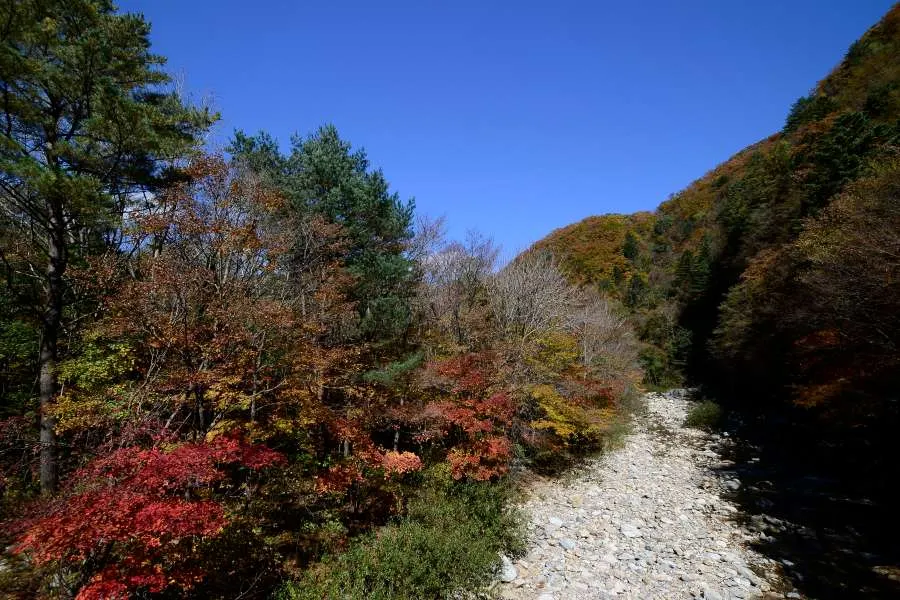 [걷기좋은길]가을에 다시 찾은 오대산 선재길