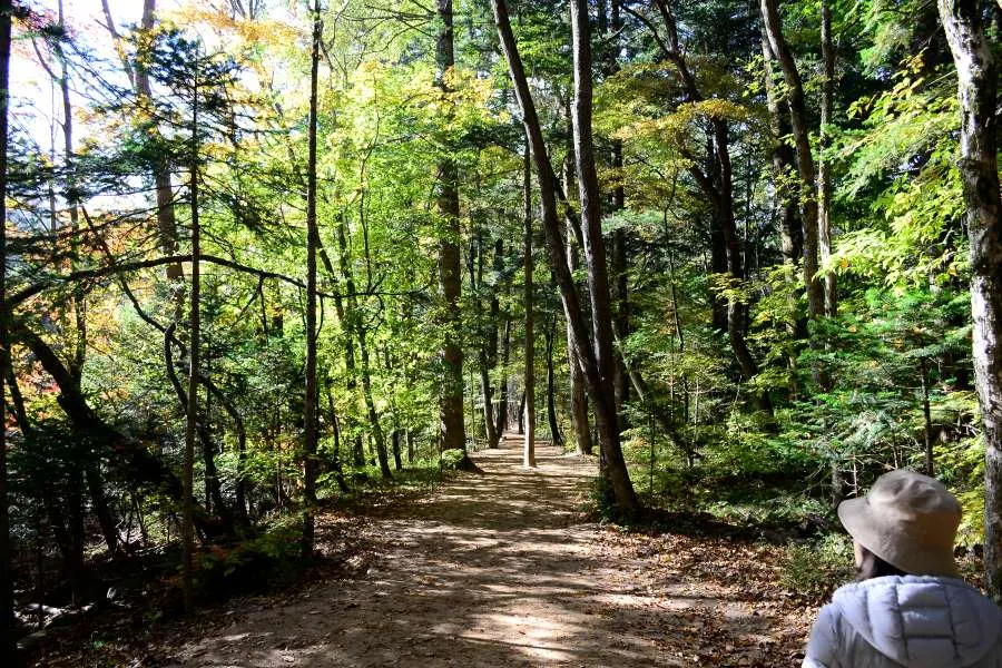 [걷기좋은길]가을에 다시 찾은 오대산 선재길