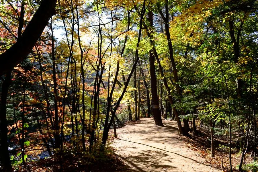 [걷기좋은길]가을에 다시 찾은 오대산 선재길