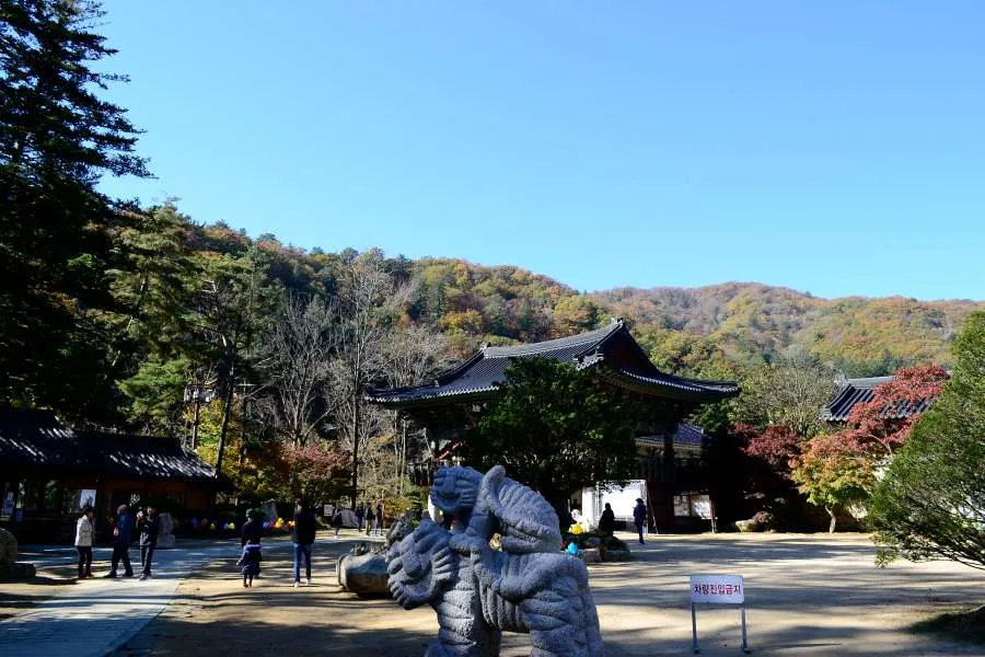 [걷기좋은길]가을에 다시 찾은 오대산 선재길