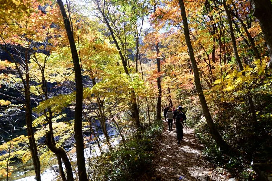 [걷기좋은길]가을에 다시 찾은 오대산 선재길
