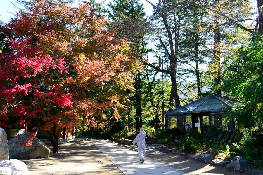 [걷기좋은길]가을에 다시 찾은 오대산 선재길