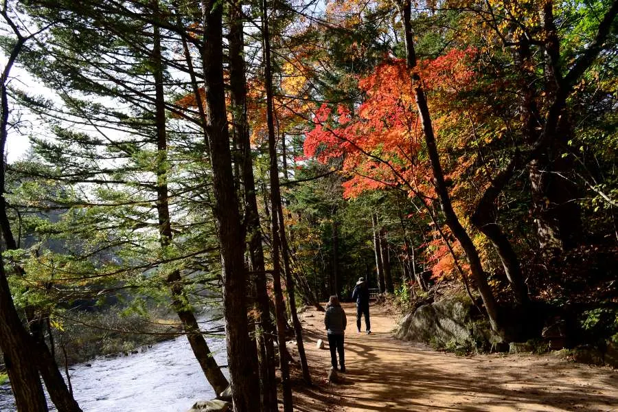 [걷기좋은길]가을에 다시 찾은 오대산 선재길