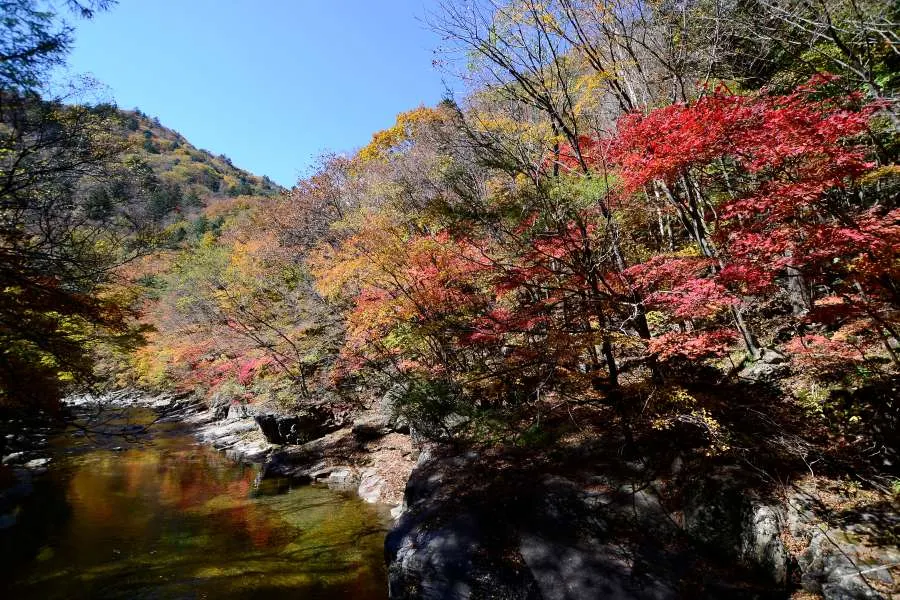 [걷기좋은길]가을에 다시 찾은 오대산 선재길
