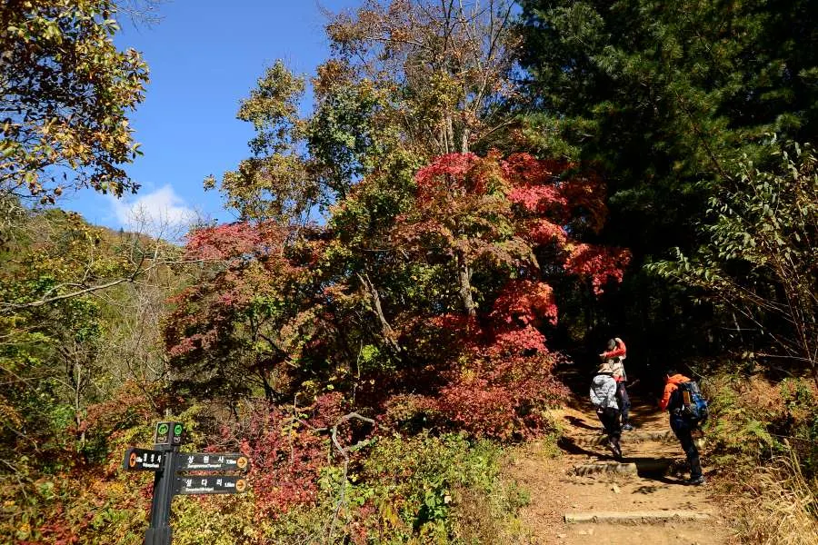 [걷기좋은길]가을에 다시 찾은 오대산 선재길