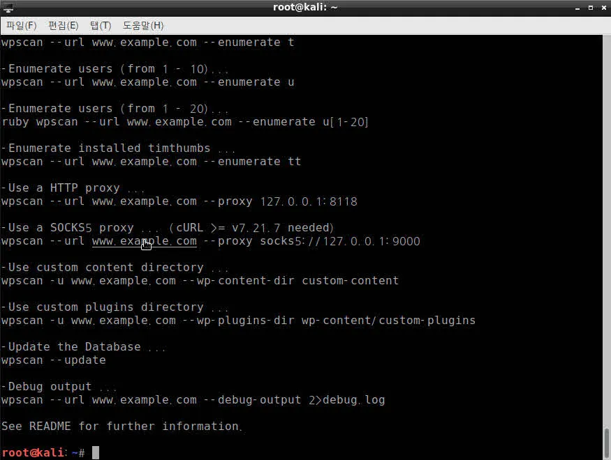 칼리리눅스의 워드프레스 취약점 점검 도구 (wpscan) 사용기