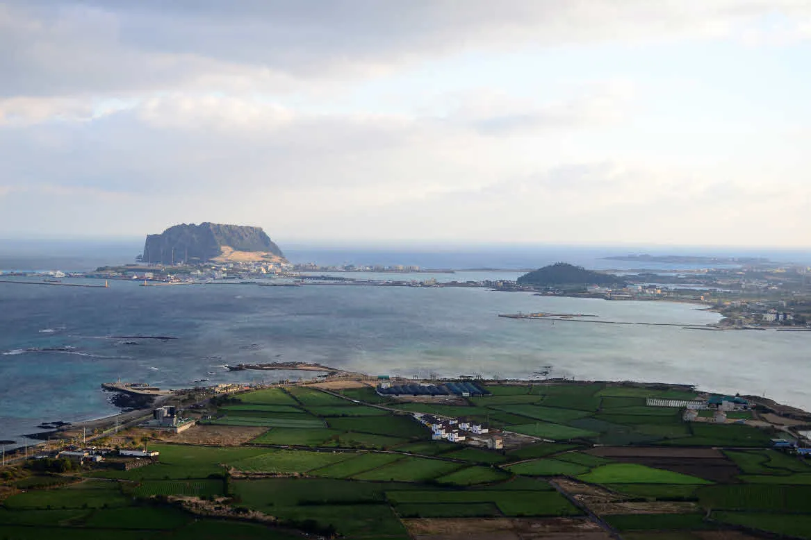 [걷기좋은길]겨울의 제주, 올레길 21코스 걷기