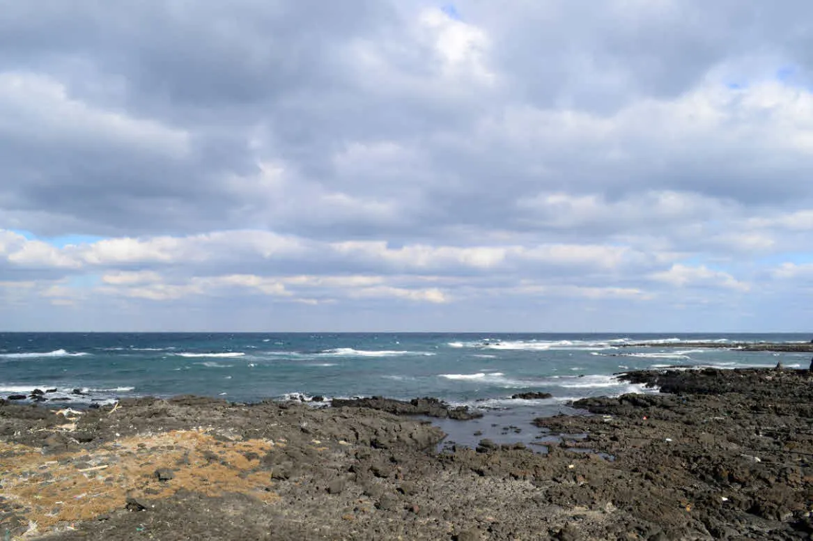 [걷기좋은길]겨울의 제주, 올레길 21코스 걷기