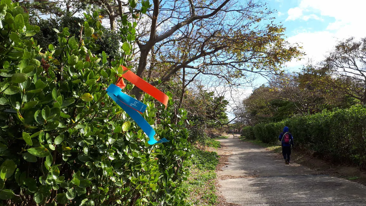 [걷기좋은길]겨울의 제주, 올레길 21코스 걷기