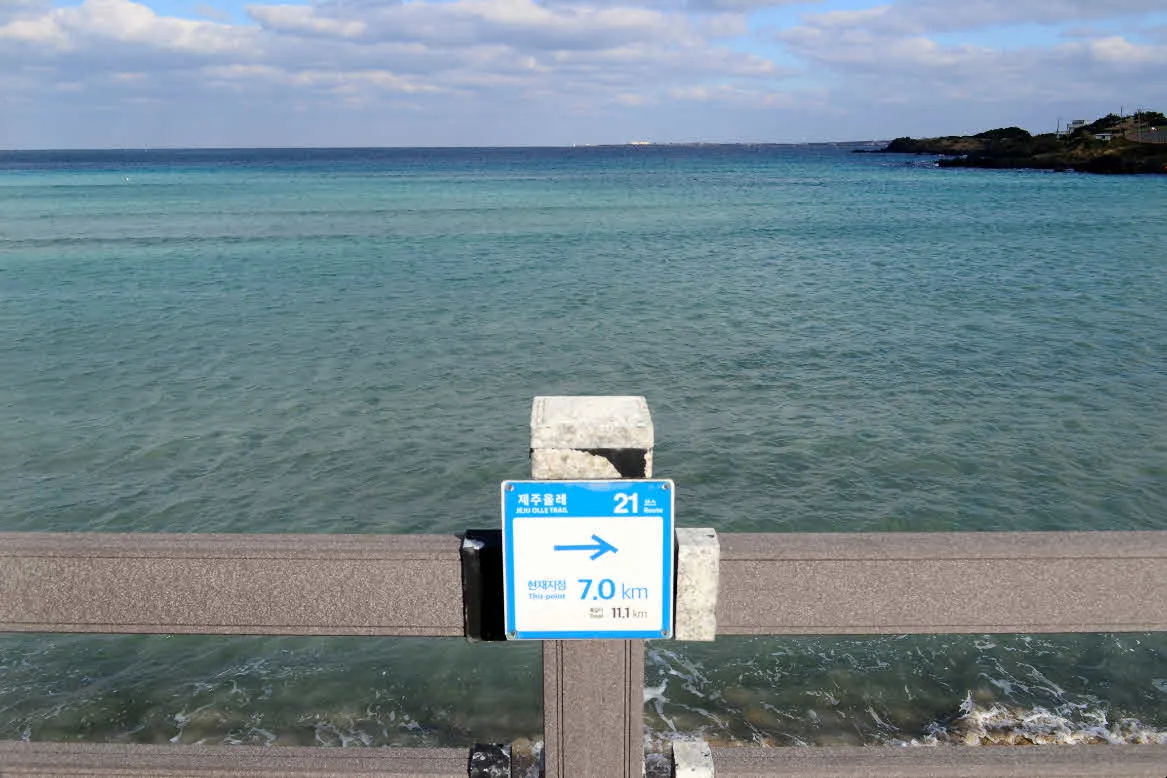[걷기좋은길]겨울의 제주, 올레길 21코스 걷기