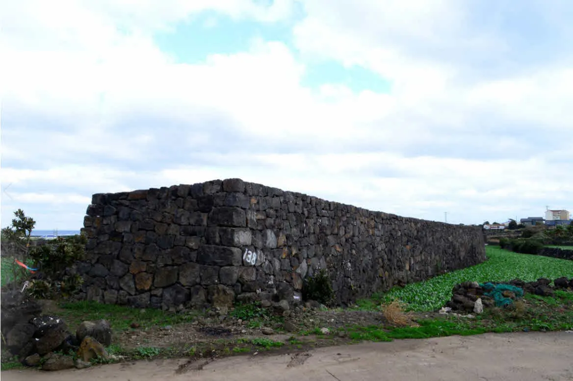 [걷기좋은길]겨울의 제주, 올레길 21코스 걷기