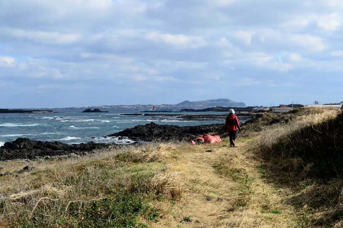 [걷기좋은길]겨울의 제주, 올레길 21코스 걷기