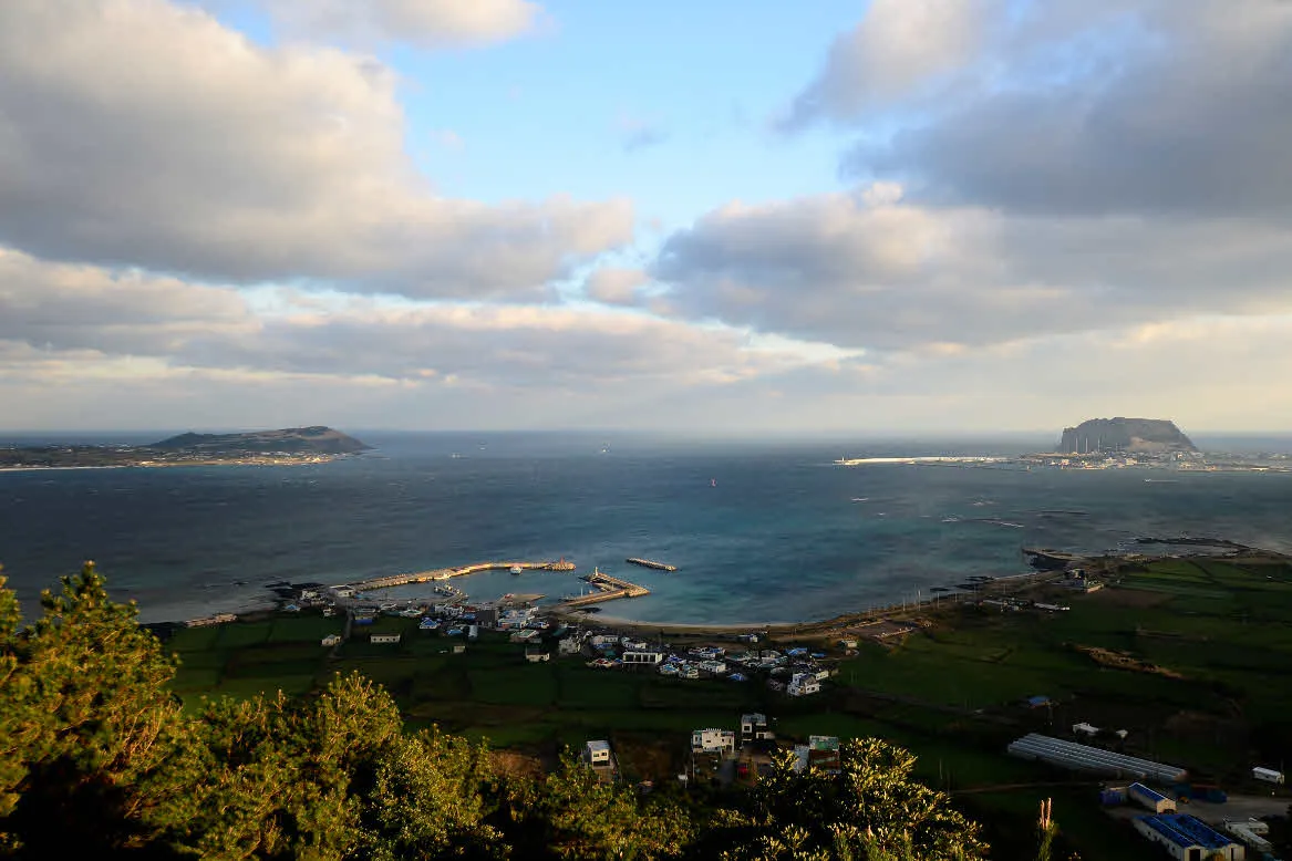 [걷기좋은길]겨울의 제주, 올레길 21코스 걷기
