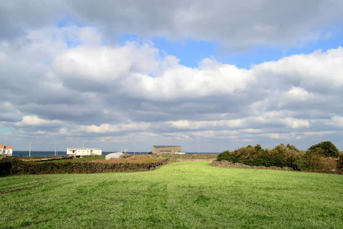 [걷기좋은길]겨울의 제주, 올레길 21코스 걷기