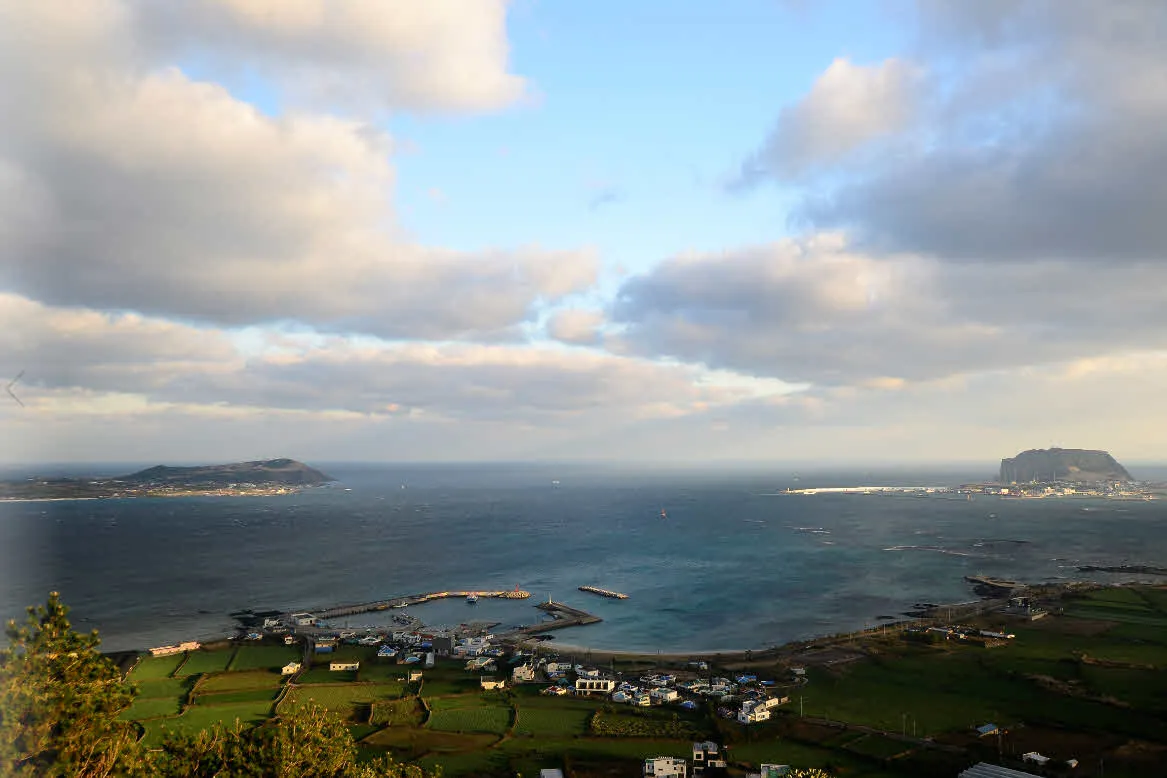 [걷기좋은길]겨울의 제주, 올레길 21코스 걷기