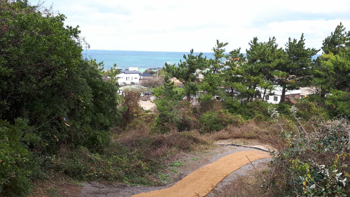 [걷기좋은길]겨울의 제주, 올레길 21코스 걷기