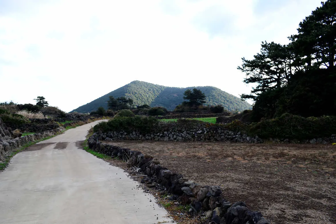 [걷기좋은길]겨울의 제주, 올레길 21코스 걷기