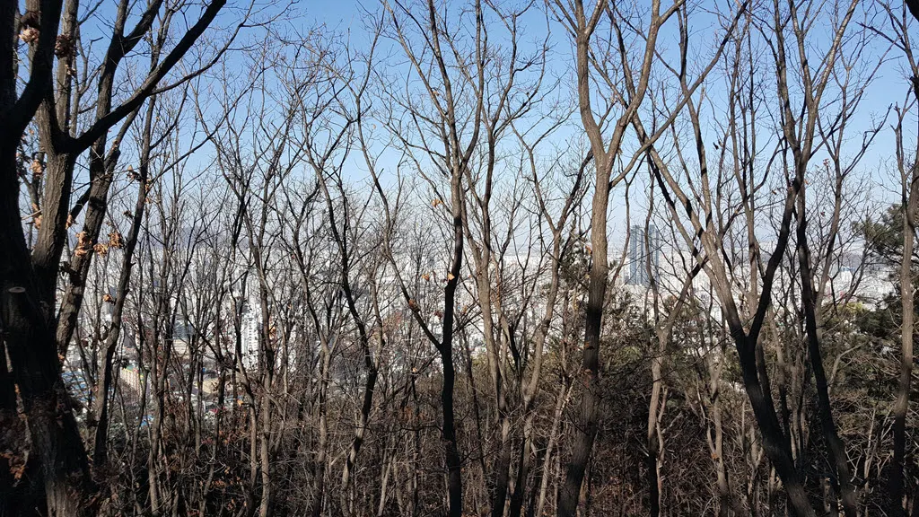 [걷기좋은길] 인천대공원-거마산-성주산-인천대공원 일주하기