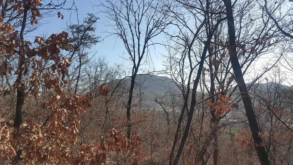 [걷기좋은길] 인천대공원-거마산-성주산-인천대공원 일주하기