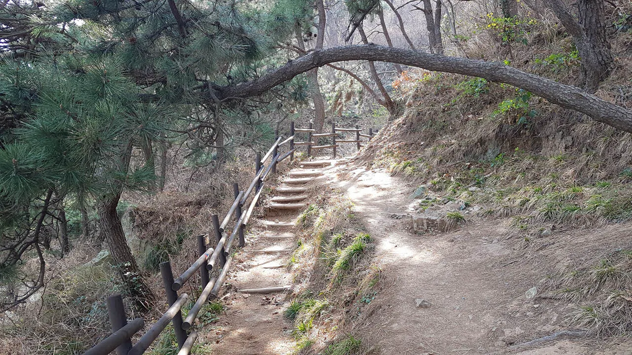 [걷기좋은길] 부산의 걷기 명소 이기대 해안산책로를 걷다.