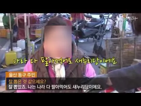 국회에 다시 등장한 빠루, 자유한국당 나경원의 주장은 사실일까?